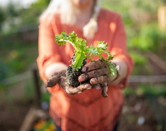 contaminated soil