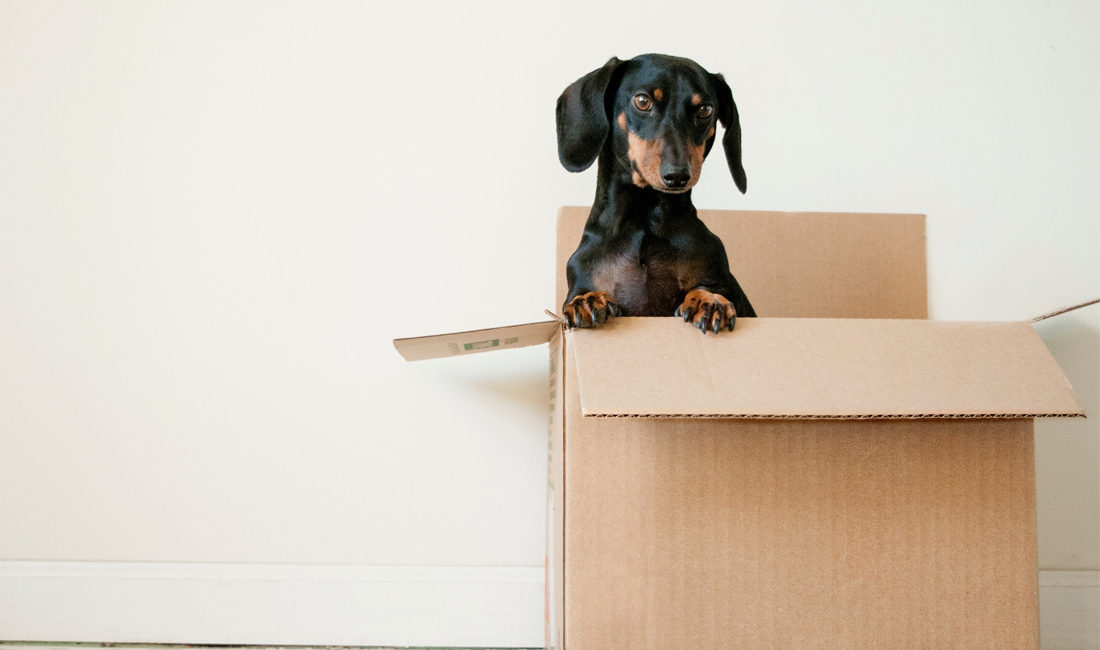 how to escape renting