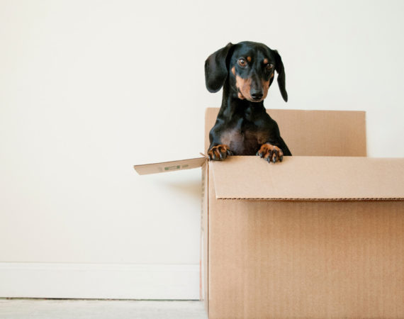 how to escape renting